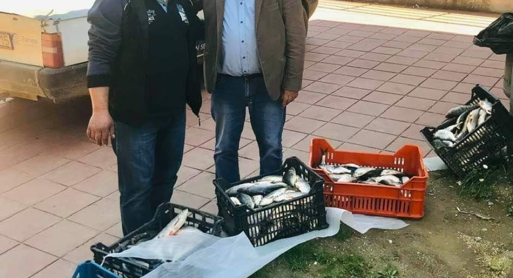 Δημήτρης Γιάννου: Μια καλή ψάρια γεμάτη αγάπη 