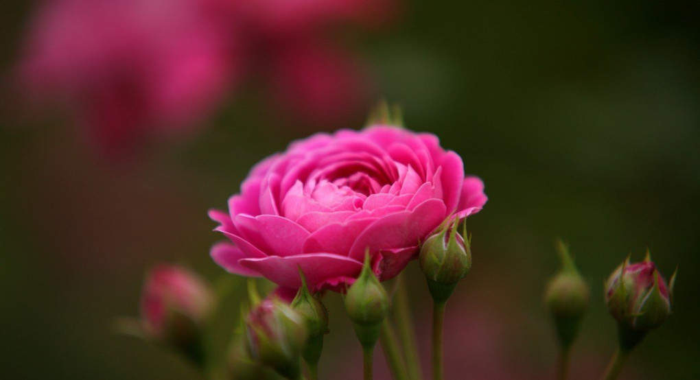 Ποιος γιορτάζει σήμερα...