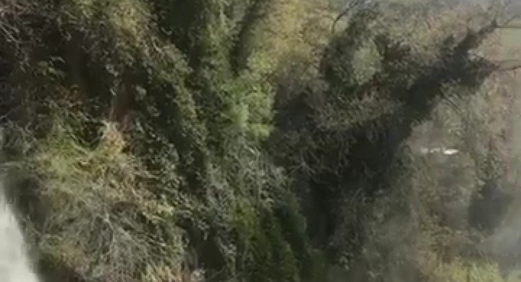 Δημήτρης Γιάννου: Υπάρχει ζωή.. Υπάρχει ελπίδα 