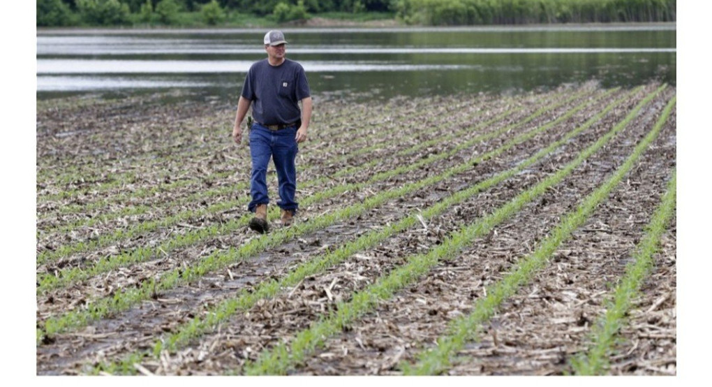 Νεα ψυχρολουσία για τους αγρότες: Στα ύψη τα ασφάλιστρα του ΕΛΓΑ 