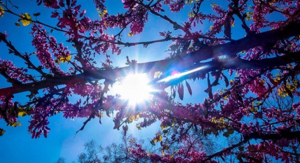 Ο καιρός μας...