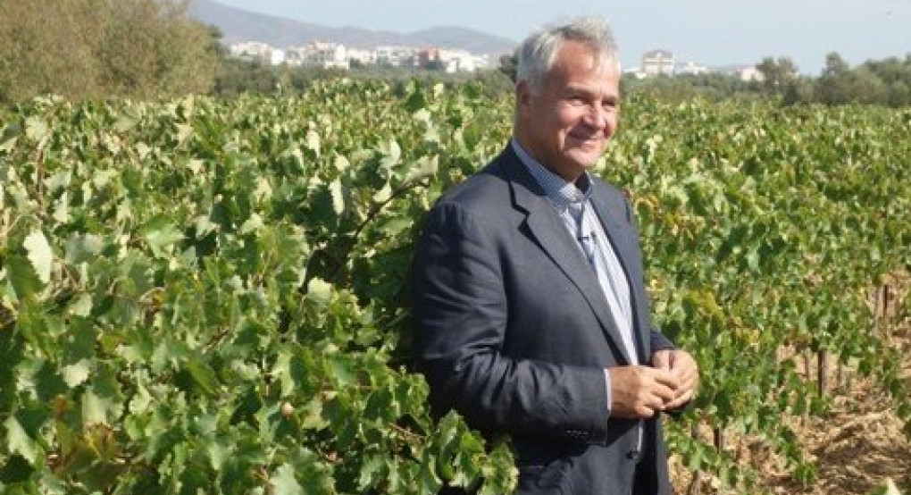 κατανέμονται οι νέες άδειες φύτευσης οινοποιήσιμων ποικιλιών αμπέλου για το 2020