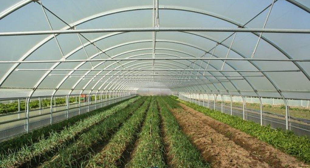 Ερώτηση στη Βουλή για τη λήψη μέτρων στήριξης των καλλιεργητών θερμοκηπιακών προϊόντων  