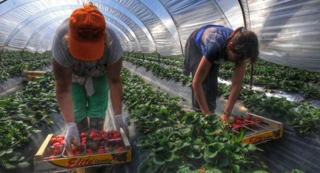 «Μετακίνηση Αγροτών και Εργατών γης»