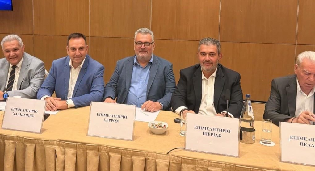 Ο Πρόεδρος του Επιμελητηρίου Πιερίας στη συνάντηση με τον Υπουργό Ανάπτυξης για την Αναμόρφωση της Επιμελητηριακής Νομοθεσία