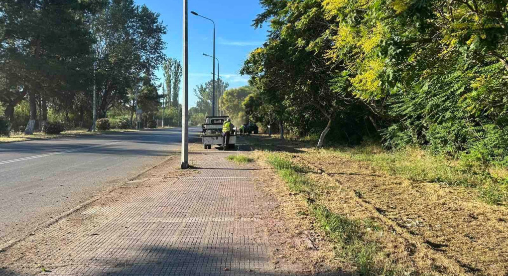 Ιγνατιάδου: Καθημερινές παρεμβάσεις στην Σκύδρα