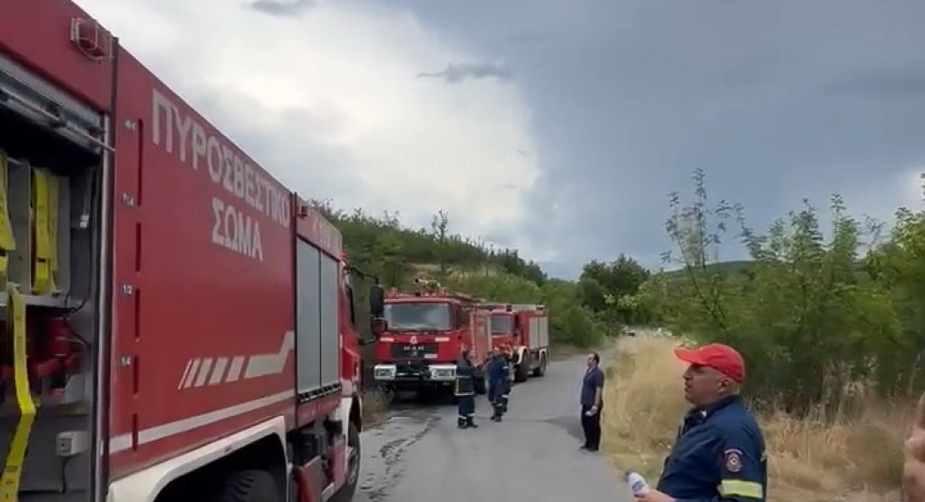Αποκλειστικό Βίντεο Pellanews.gr: Στιγμές από τη μεγάλη φωτιά στην Καλή Πέλλας
