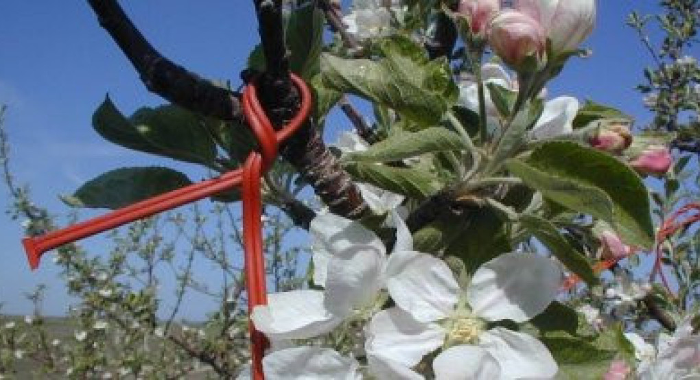 Έως τις 1/7 ενστάσεις για κομφούζιο και νιτρορύπανση και έως τις 24/6 για βιολογικά και αυτόχθονες φυλές