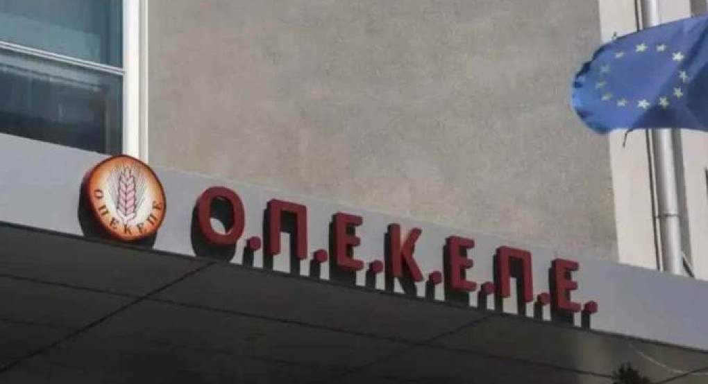 ΟΠΕΚΕΠΕ: Δύο προφυλακίσεις για το κύκλωμα στην Κοζάνη