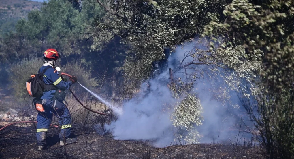 Μπαράζ συλλήψεων για τις φωτιές σε όλη τη χώρα – Χειροπέδες σε 4 σε Βοιωτία, Λάρισα, Χαλκιδική και Θεσσαλονίκη