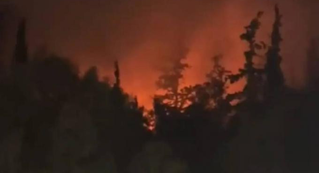 Πυροσβεστική: 44 αγροτοδασικές πυρκαγιές το τελευταίο 24ωρο