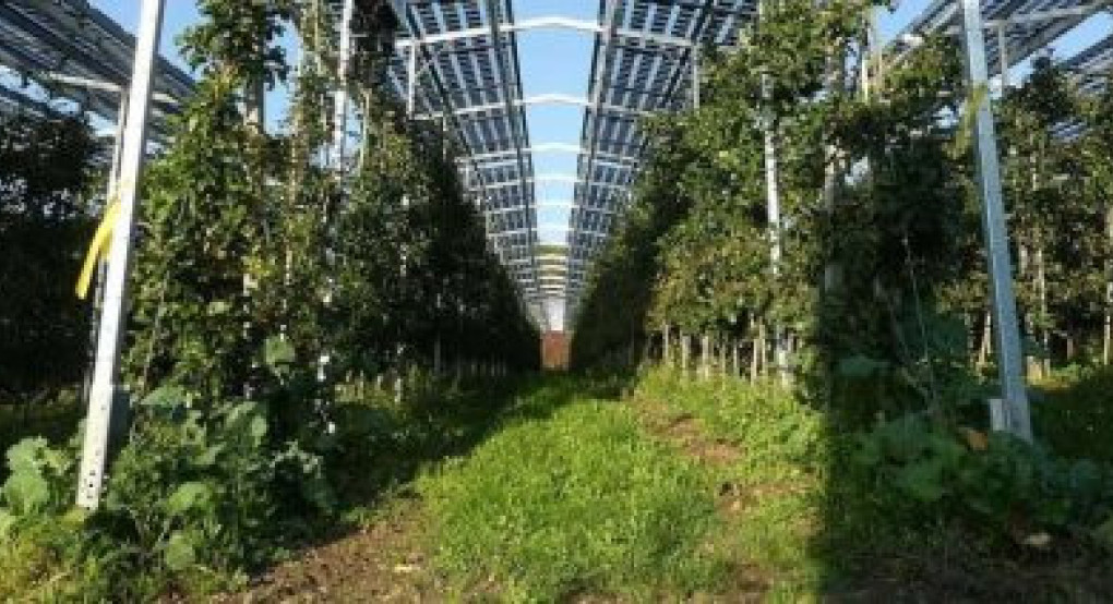 Αλλαγές στο πλαίσιο των επενδύσεων σε θερμοκήπια και στέγαστρα κυρίως ως προς τις πληρωμές των δαπανών
