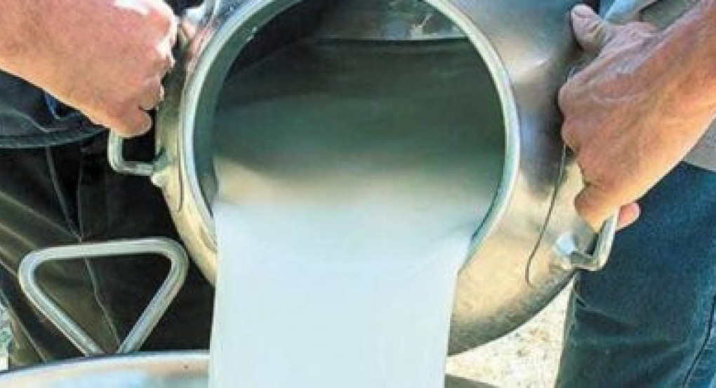 Οι ενισχύσεις ανά τόνο γάλακτος στα μικρά νησιά του Αιγαίου για παραγωγή τυριών και γιαούρτης