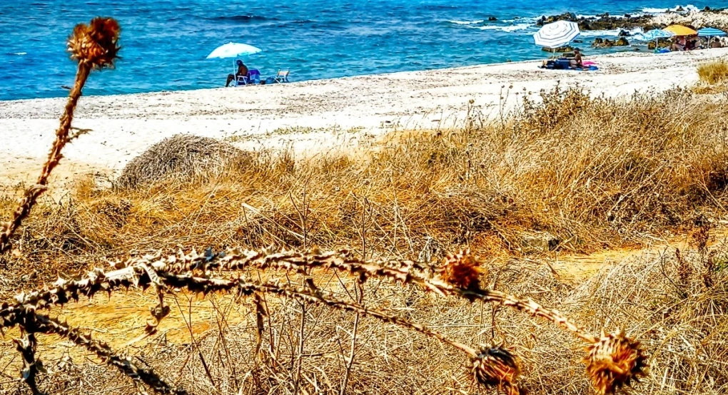 Καιρός: Τους 37 βαθμούς Κελσίου θα αγγίζει σήμερα (30/6) η θερμοκρασία - Πού θα βρέξει