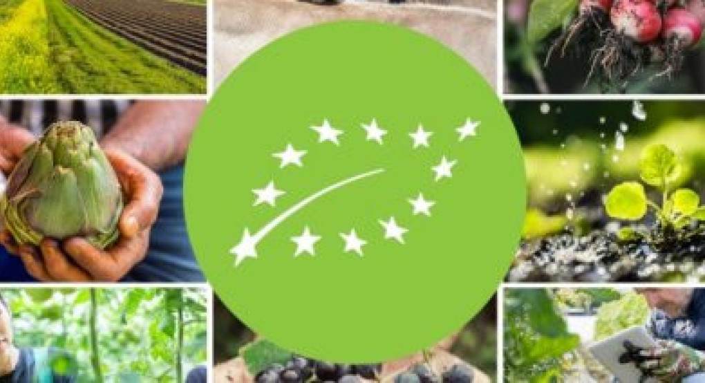 Καθορίσθηκε το ύψος της ενίσχυσης για διατήρηση μεθόδων βιολογικής γεωργίας και κτηνοτροφίας του 2025