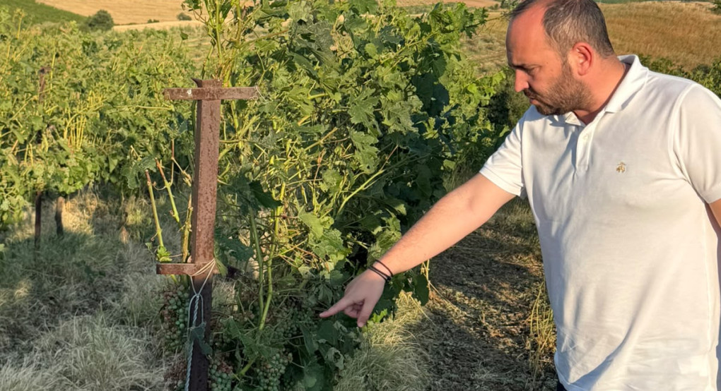 Επίσκεψη Λάκη Βασιλειάδη σε περιοχές που επλήγησαν από το χαλάζι στη Λεπτοκαρυά Γιαννιτσών και την Βεγορίτιδα