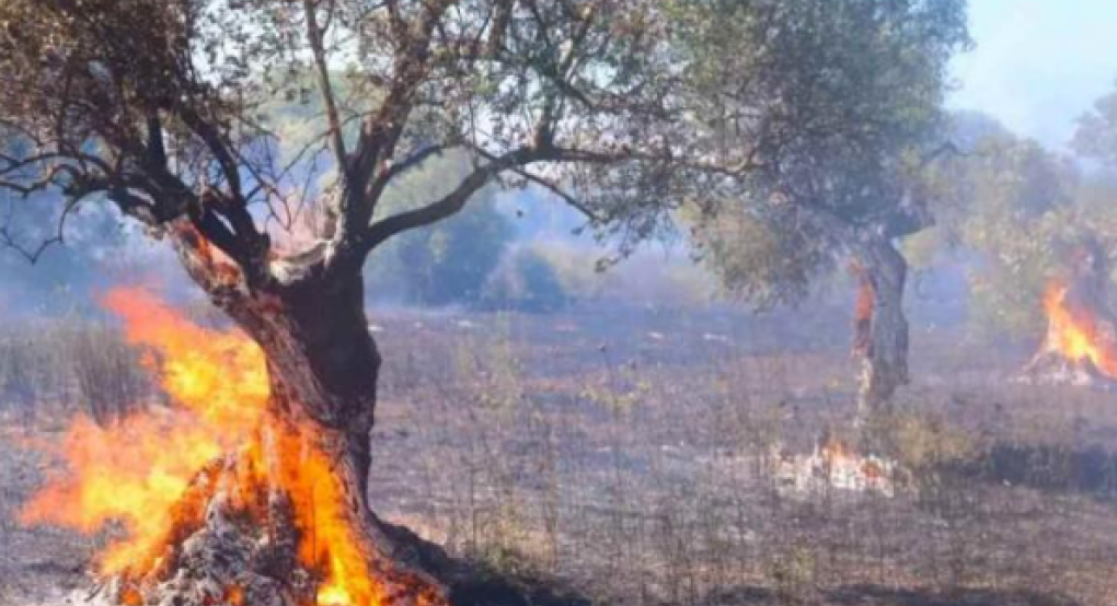 Μήνυμα 112 για τη φωτιά στα Σπάτα: «Παραμείνετε σε ετοιμότητα»