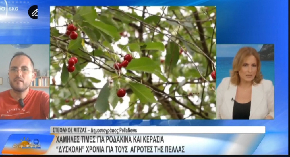 Στο TV100 ο δημοσιογράφος του PellaNews.gr Στέφανος Μίντζας: «Οι αγρότες της Πέλλας βρίσκονται σε οριακή κατάσταση»