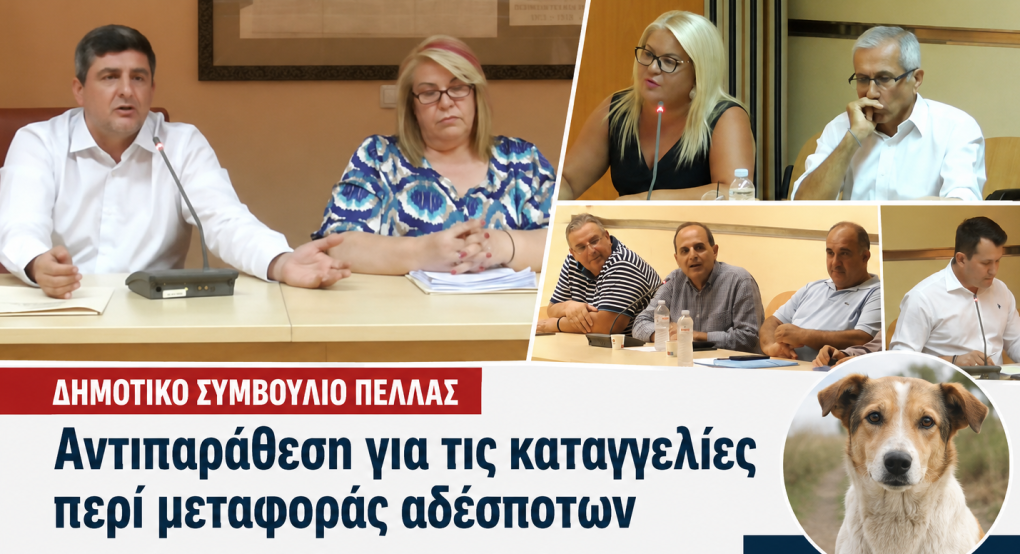 Δημοτικό Συμβούλιο Πέλλας: Αντιπαράθεση για τις καταγγελίες περί μεταφοράς αδέσποτων – Η απάντηση της Δημοτικής Αρχής