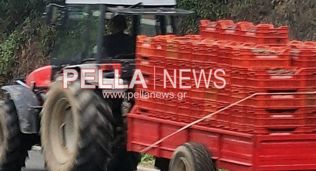 Γιάννης Ανδριανός στη Βουλή: Σαφείς κανόνες για τις αγροτικές ενισχύσεις
