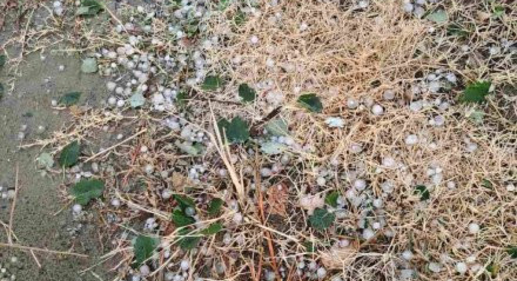 Χαλαζόπτωση και ανεμοθύελλα έπληξαν χιλιάδες στρέμματα καλλιεργειών σε περιοχές της Αλεξανδρούπολης