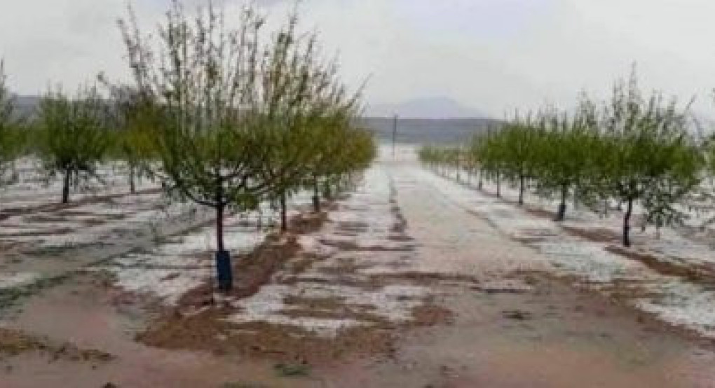 Προαναγγελία τροπολογίας για αποζημιώσεις στο 100% από τις χαλαζοπτώσεις