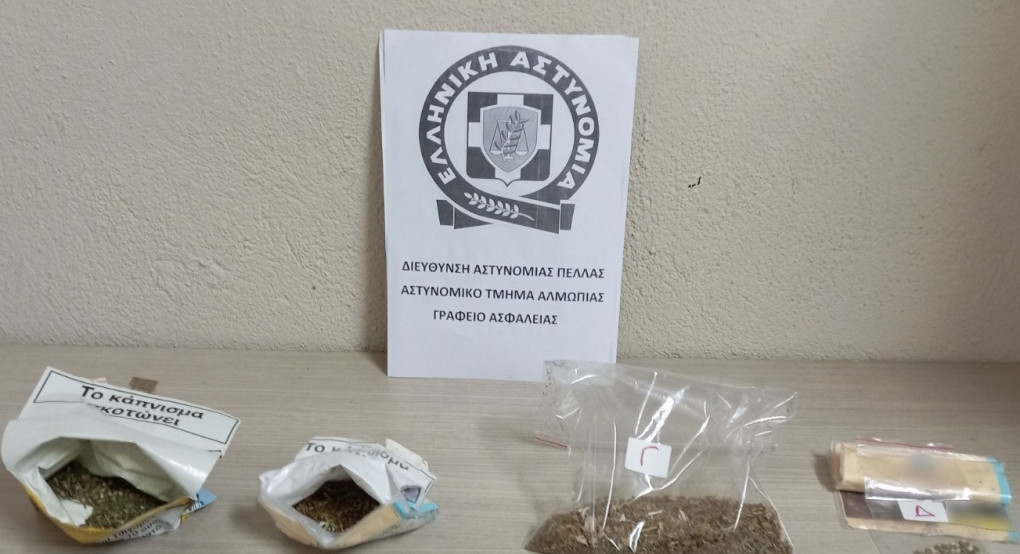 Συνελήφθησαν 2 άτομα στην Πέλλα για καλλιέργεια δενδρυλλίων κάνναβης