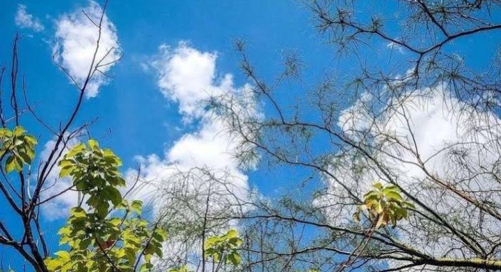 Καιρός: Μικρή πτώση της θερμοκρασίας και ισχυροί βοριάδες