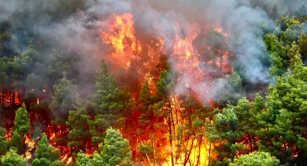 Χαρακτηριστικά mega fire απέκτησε πλέον η φωτιά στο Πόρτο Γερμενό, τεράστιες φλόγες απειλούν Αγία Παρασκευή και Μύτικα