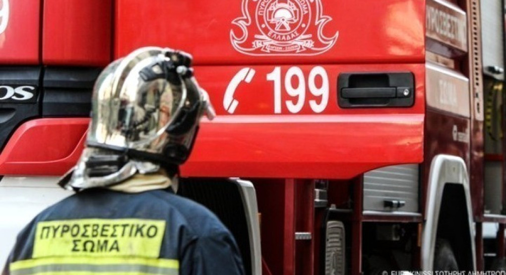Χαλκιδική: Οριοθετήθηκε η πυρκαγιά σε χαμηλή βλάστηση στη Νέα Τένεδο