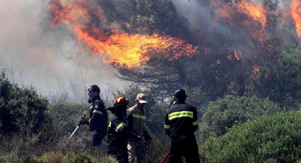 Φωτιά τώρα στην Ξηρονομή Βοιωτίας – Ήχησε 112
