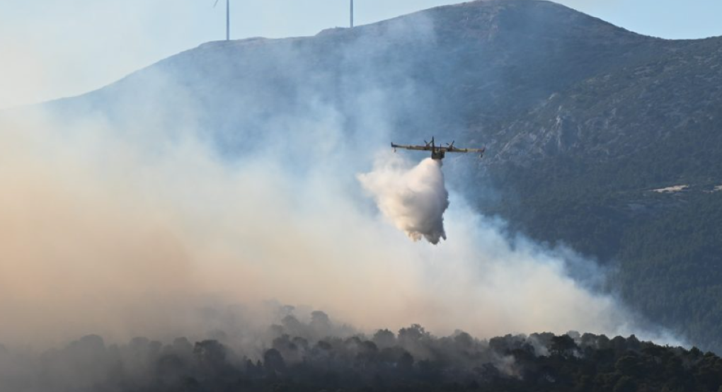 Ρεκόρ συλλήψεων για πρόκληση πυρκαγιών: Στις 800.000 τα πρόστιμα που επιβλήθηκαν