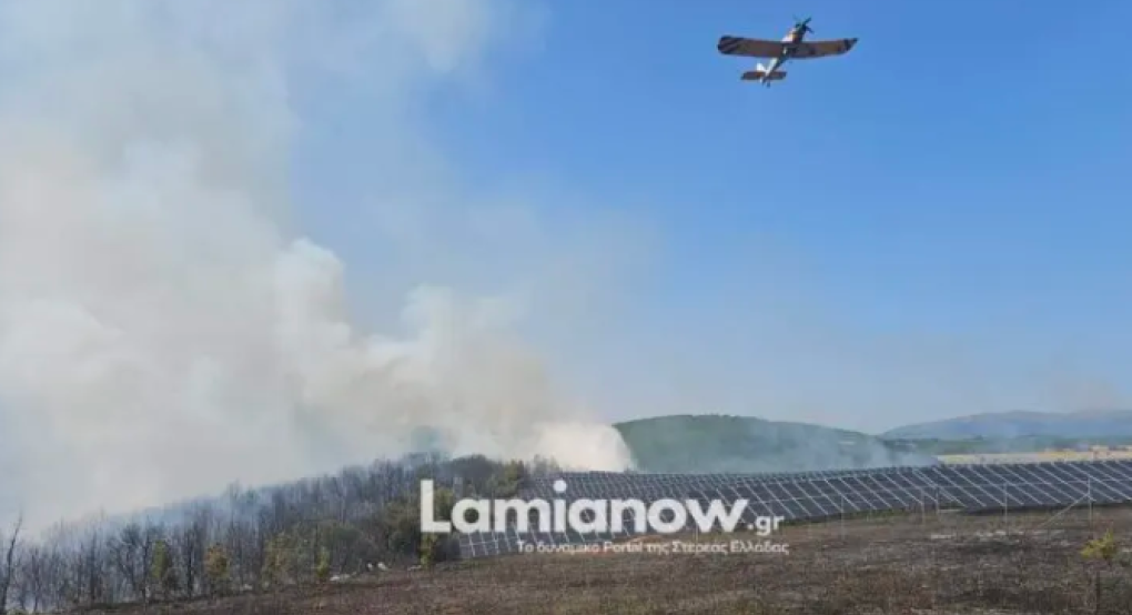 Παλαιοχώρι Λαμιέων : Υπό έλεγχο η πυρκαγιά δίπλα σε φωτοβολταϊκά – Μεγάλη κινητοποίηση της Πυροσβεστικής από γης και αέρος