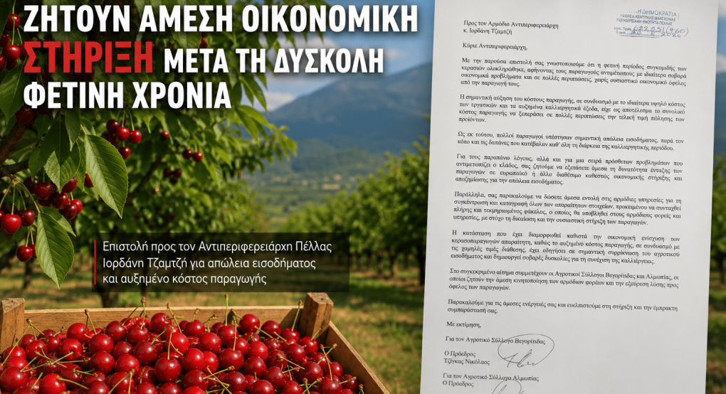 Κερασοπαραγωγοί Βεγορίτιδας και Αλμωπίας ζητούν άμεση οικονομική στήριξη μετά τη δύσκολη φετινή χρονιά