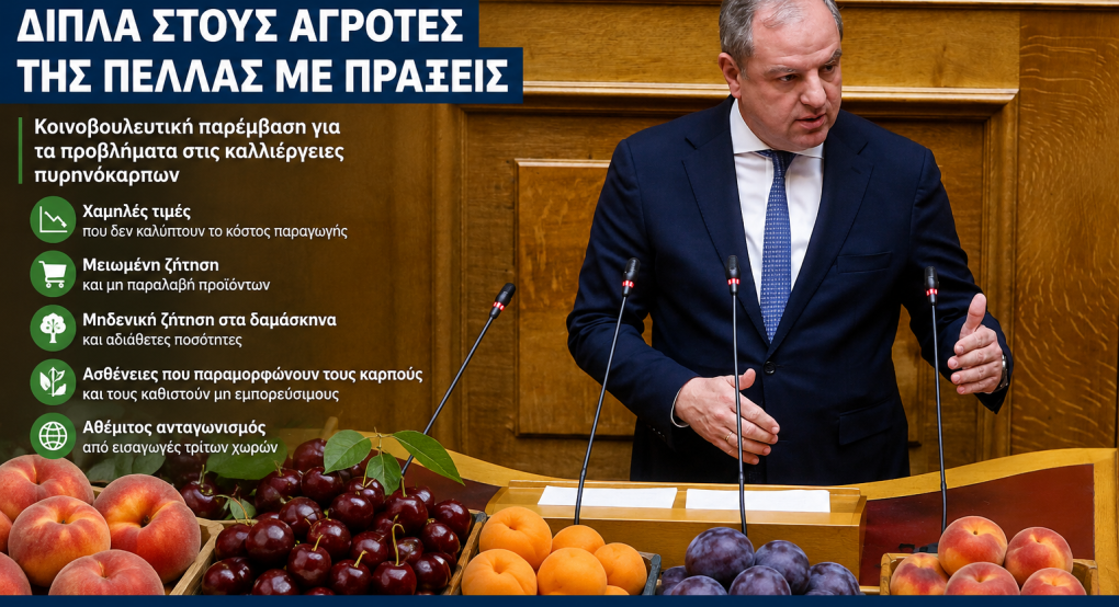 Διονύσης Σταμενίτης: Δίπλα στους αγρότες της Πέλλας με πράξεις – Παρέμβαση για τα πυρηνόκαρπα