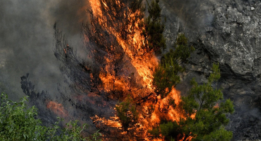 Βέροια: Συναγερμός για φωτιά σε δασική έκταση – Σηκώθηκαν δύο ελικόπτερα