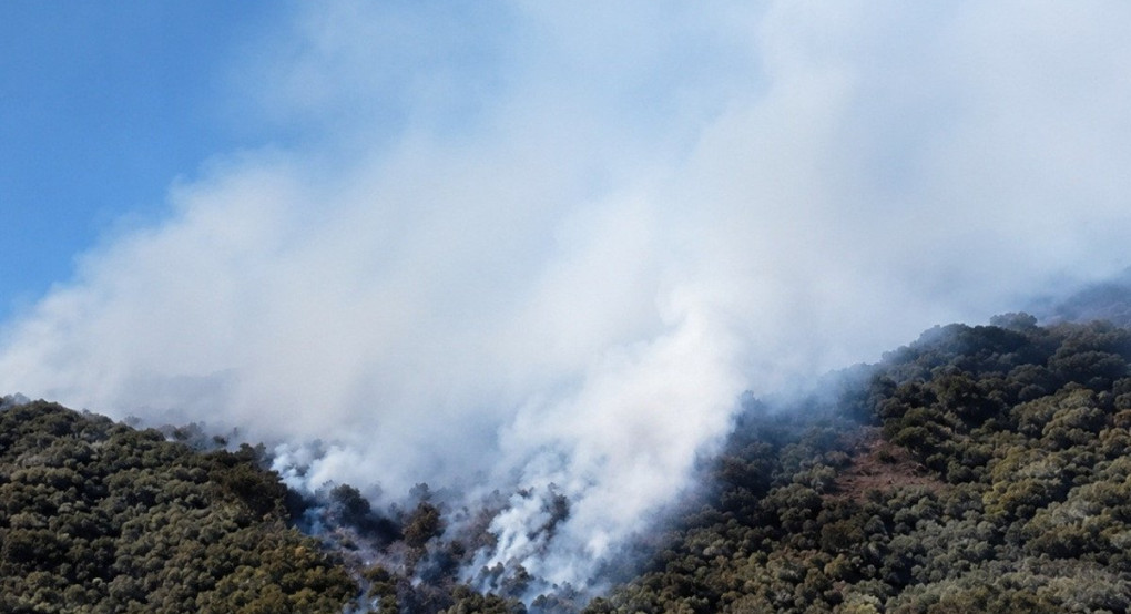 Φωτιά στα Γρεβενά: Ενισχύθηκαν οι δυνάμεις πυρόσβεσης – Στη μάχη πέντε εναέρια μέσα