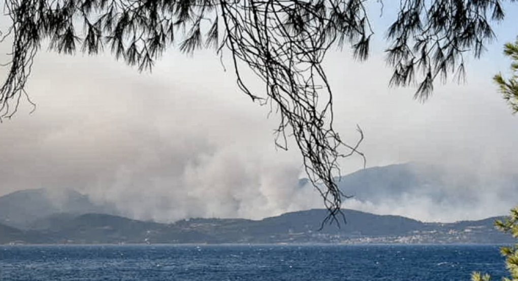 Πυρκαγιά στην Φωκίδα: Ξεκίνησαν οι αυτοψίες στις πληγείσες περιοχές