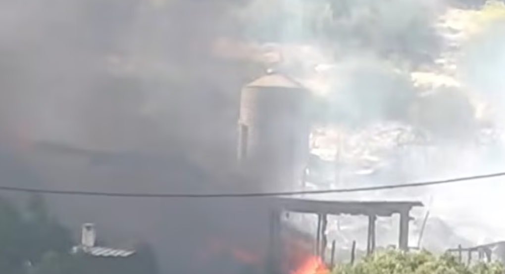 Στις φλόγες παραδόθηκε κτηνοτροφική μονάδα στην Κατσηκαλή Μεγάρων