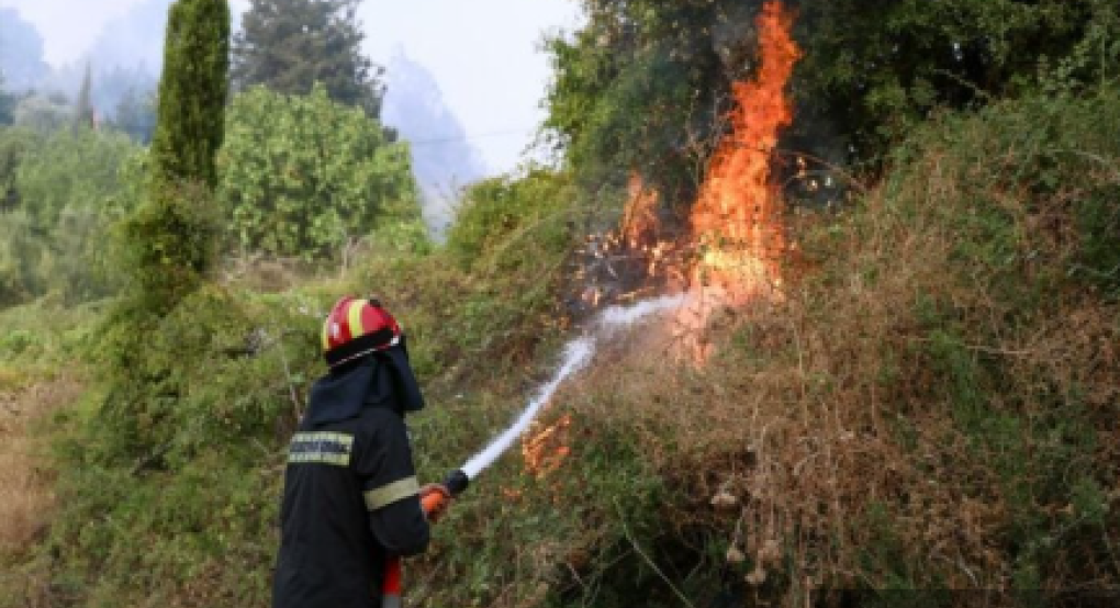Χαλκιδική: Φωτιά τώρα στα Σήμαντρα Πολυγύρου