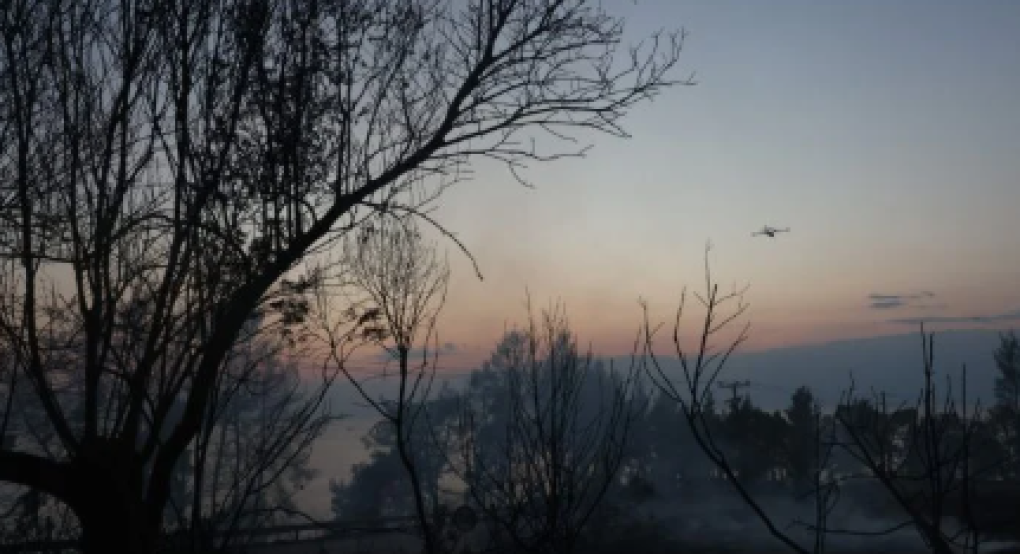 Χαλκιδική: Ξενοδόχοι προσφέρουν δωμάτια στους πληγέντες της πυρκαγιάς