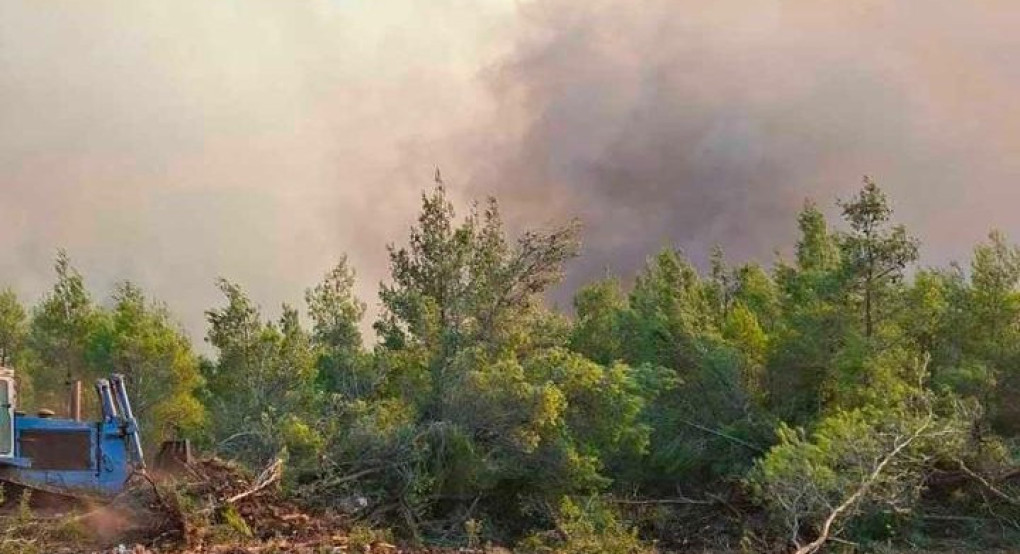 Σε κατάσταση κινητοποίησης Αττική, Εύβοια και Βοιωτία λόγω πολύ υψηλού κινδύνου πυρκαγιάς