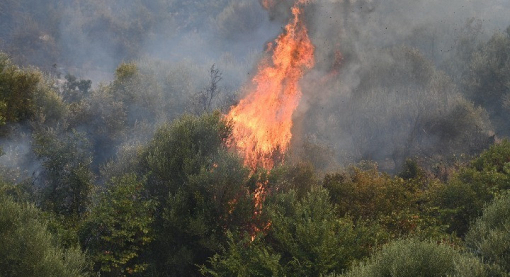 Πυρκαγιά στη Σκύρο: Ενισχύσεις από Αττική, Εύβοια και Θεσσαλία έφτασαν στο νησί