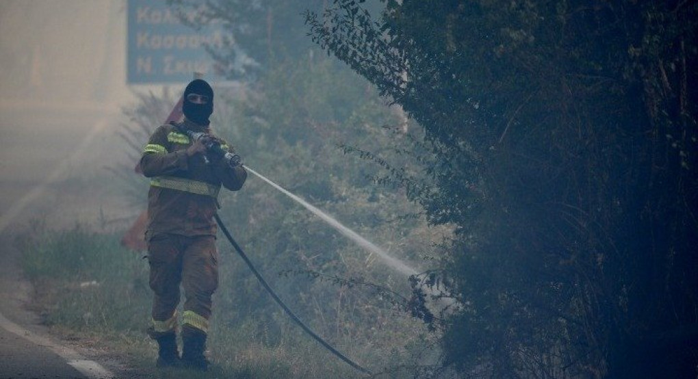 Χαλκιδική: Καθαρισμός ρεμάτων και αντιπλημμυρικά έργα μετά την πυρκαγιά