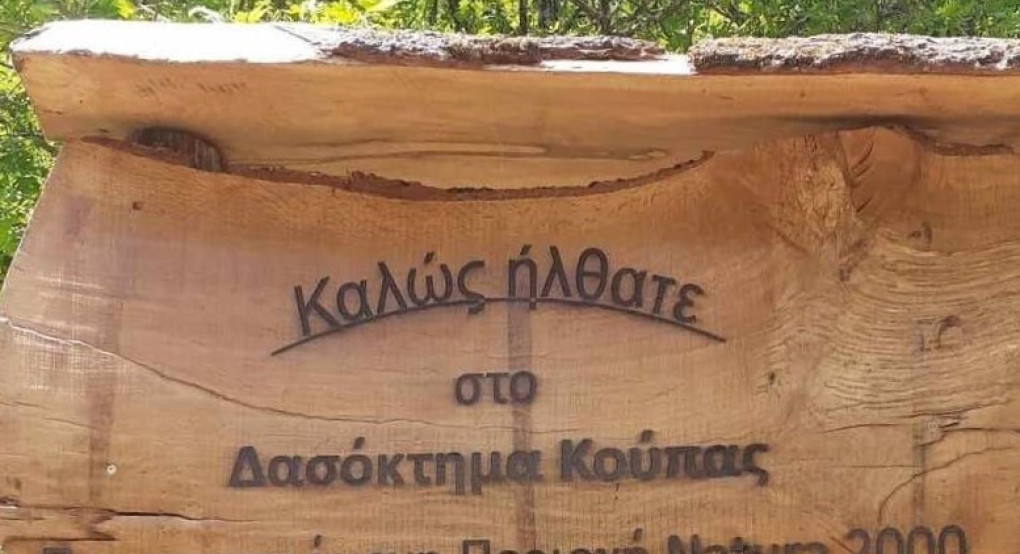 Πρωτοβουλία χορήγησης υποτροφιών από τον Συνεταιρισμό Διαχείρισης Δάσους Κούπας για σπουδές στην ειδικότητα «Συνοδός Βουνού»