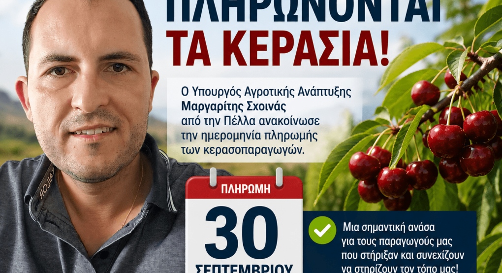 Πληρώνονται τα κεράσια στις 30 Σεπτεμβρίου – Η ανακοίνωση του Μαργαρίτη Σχοινά από την Πέλλα