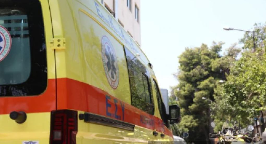 Χαλκιδική: Στο νοσοκομείο ένα 5χρονο παιδί μετά από επίθεση άγριου ζώου