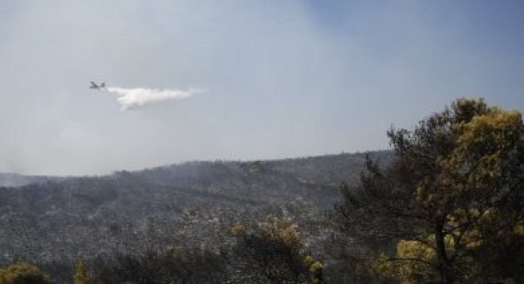 Προκαταβολές ΕΛΓΑ 5 εκατομ. ευρώ για αποκατάσταση καλλιεργειών από πυρκαγιές του 2024