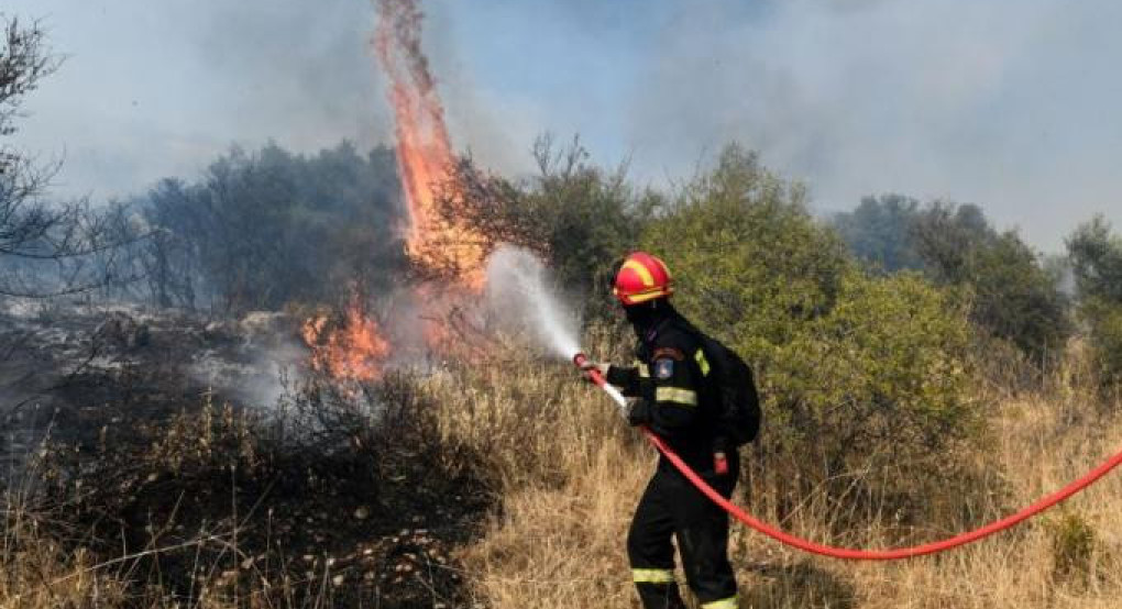 Έβρος: Πυρκαγιά σε δασική έκταση της Ρούσας Σουφλίου - Πέρασε σε ελληνικό έδαφος από τη Βουλγαρία