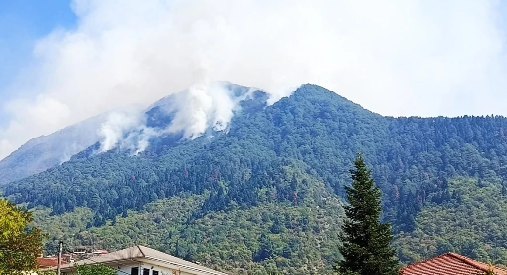 Υπό έλεγχο έπειτα από 21 μέρες η πυρκαγιά στην Τραπεζίτσα Κόνιτσας, «χτύπησε» περίπου 10.000 στρέμματα δάσους